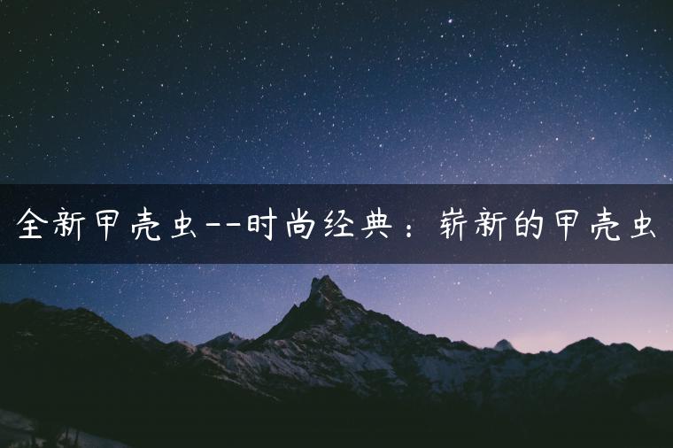 全新甲壳虫–时尚经典：崭新的甲壳虫