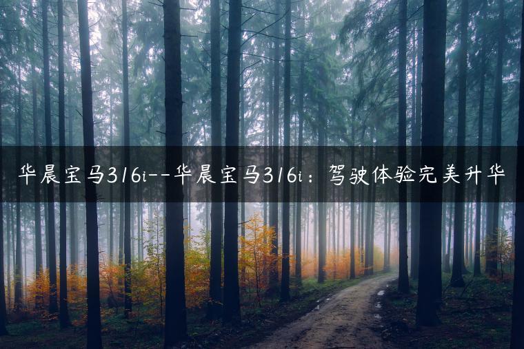 华晨宝马316i–华晨宝马316i：驾驶体验完美升华