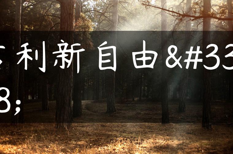 吉利新自由舰