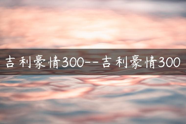 吉利豪情300–吉利豪情300