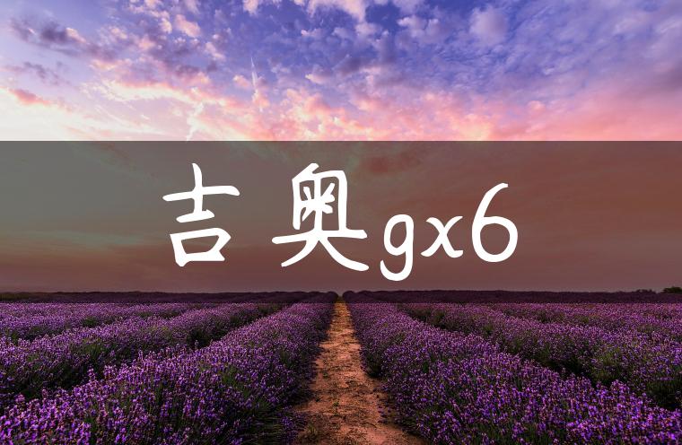 吉奥gx6