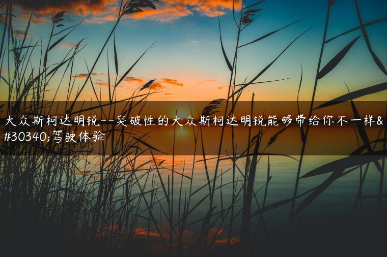 大众斯柯达明锐–突破性的大众斯柯达明锐能够带给你不一样的驾驶体验