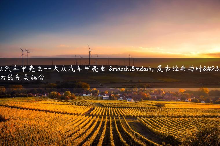 大众汽车甲壳虫–大众汽车甲壳虫 —— 复古经典与时尚魅力的完美结合