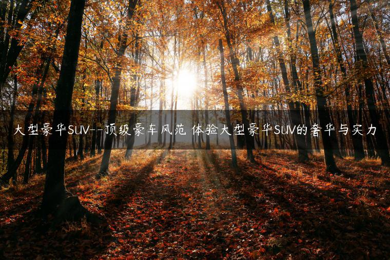 大型豪华SUV–顶级豪车风范 体验大型豪华SUV的奢华与实力