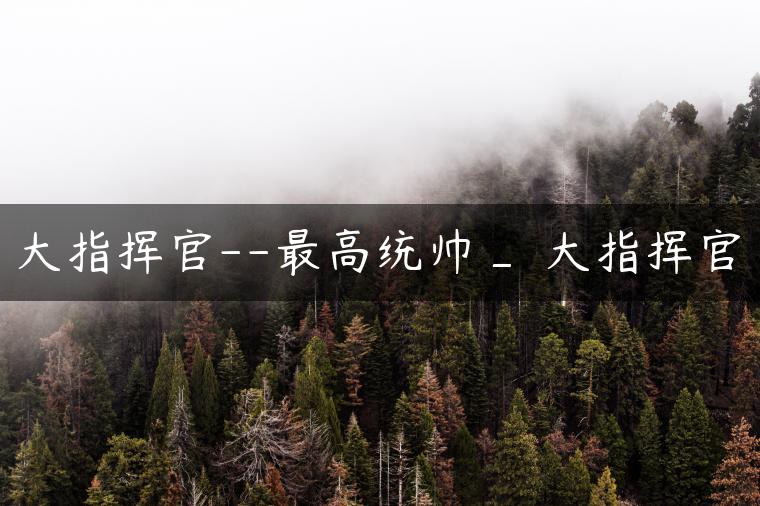 大指挥官–最高统帅_ 大指挥官