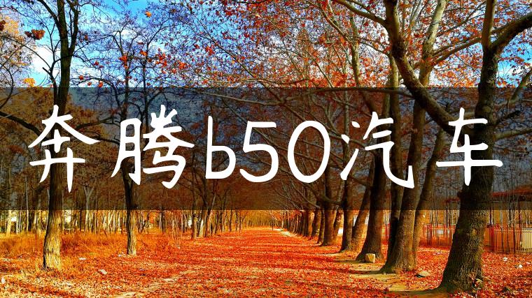 奔腾b50汽车