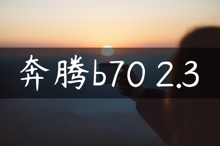 奔腾b70 2.3