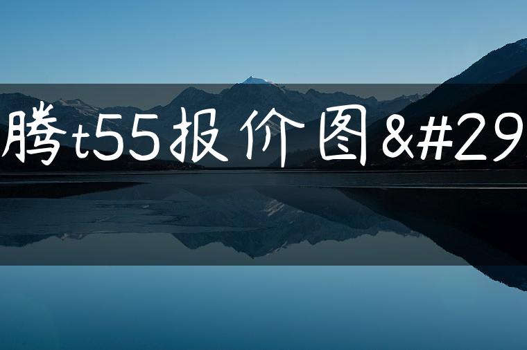 奔腾t55报价图片