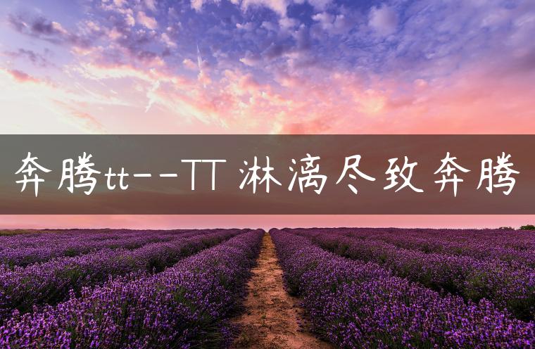 奔腾tt–TT 淋漓尽致奔腾