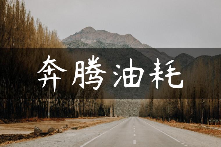 奔腾油耗