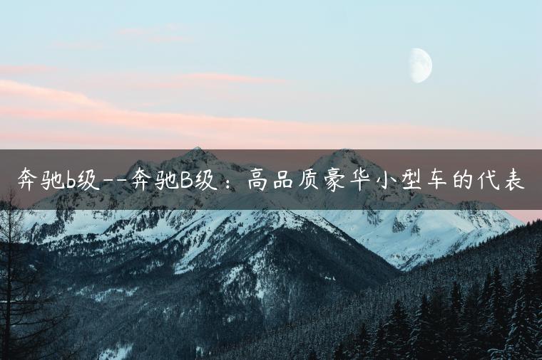 奔驰b级–奔驰B级：高品质豪华小型车的代表