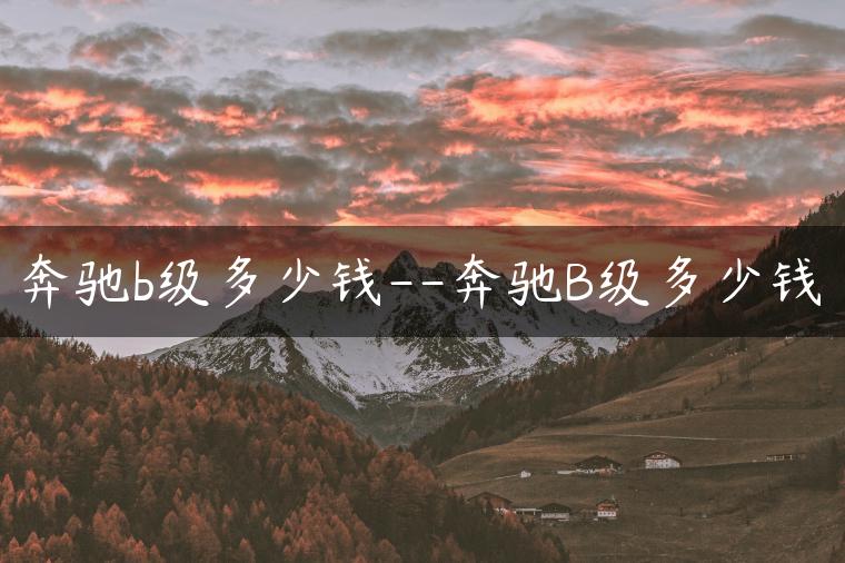 奔驰b级多少钱–奔驰B级多少钱