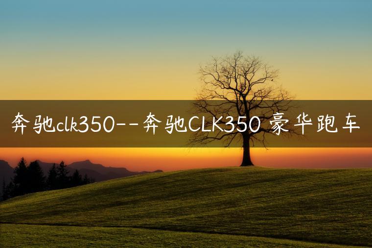 奔驰clk350–奔驰CLK350 豪华跑车