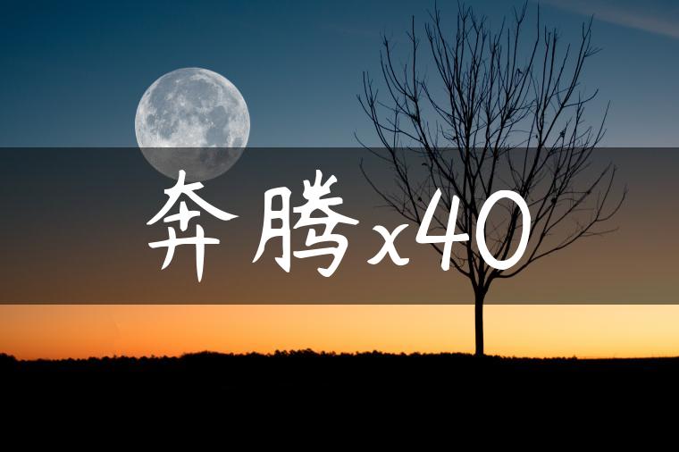 奔腾x40