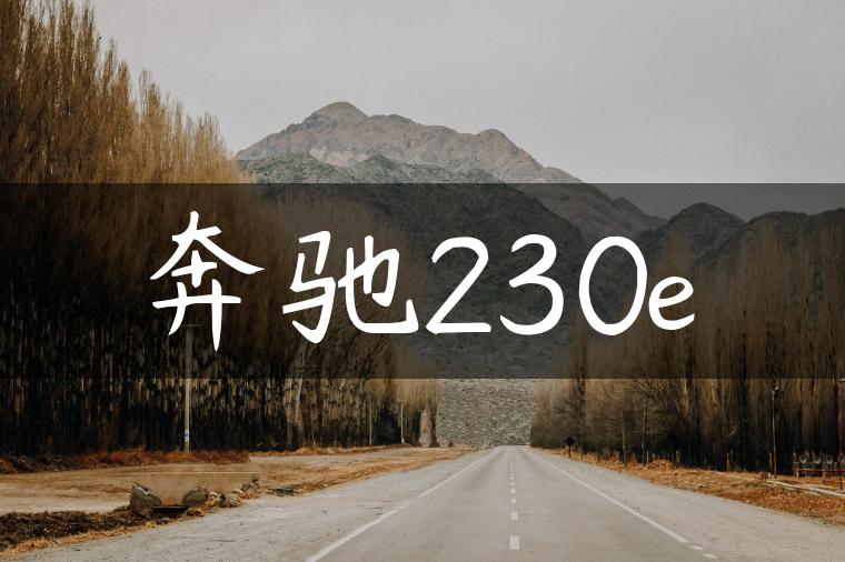 奔驰230e