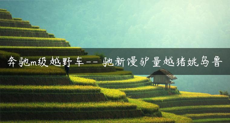 奔驰m级越野车– 驰新馒驴量越猪姚岛鲁