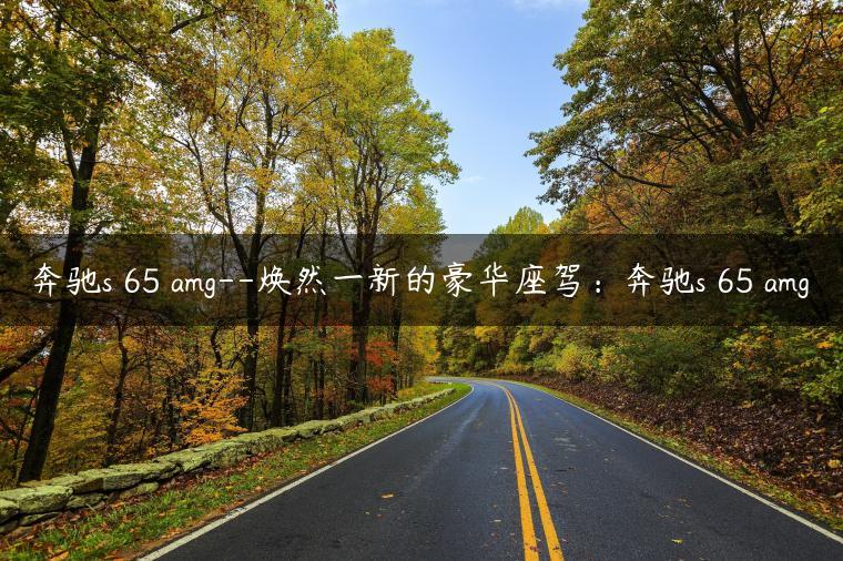 奔驰s 65 amg–焕然一新的豪华座驾：奔驰s 65 amg