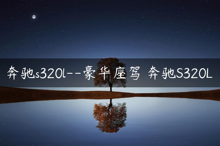 奔驰s320l–豪华座驾 奔驰S320L