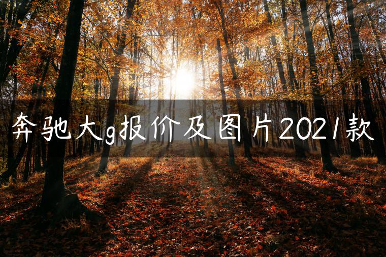 奔驰大g报价及图片2021款