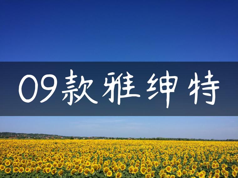 09款雅绅特