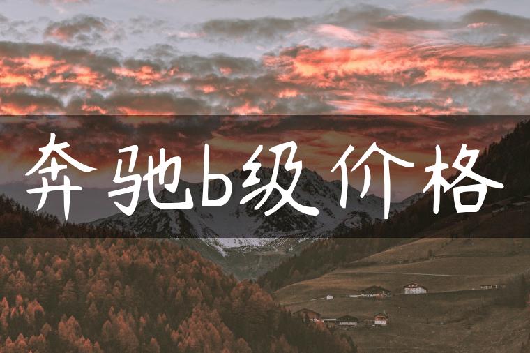 奔驰b级价格