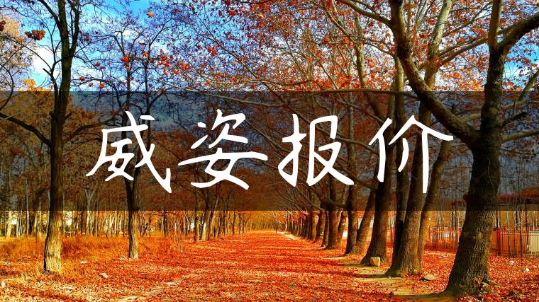 威姿报价