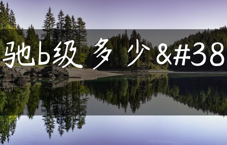 奔驰b级多少钱