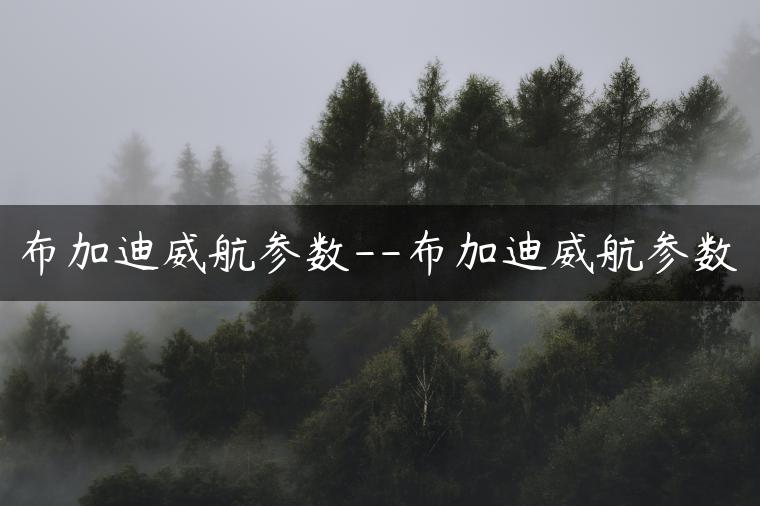 布加迪威航参数–布加迪威航参数