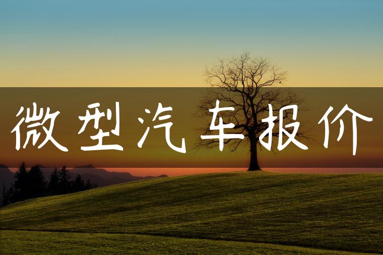 微型汽车报价