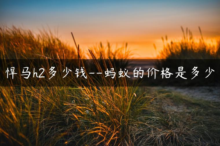 悍马h2多少钱–蚂蚁的价格是多少