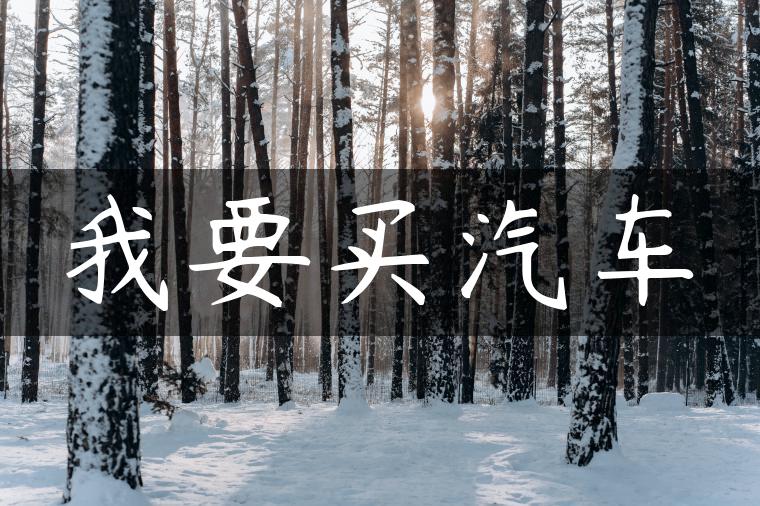 我要买汽车