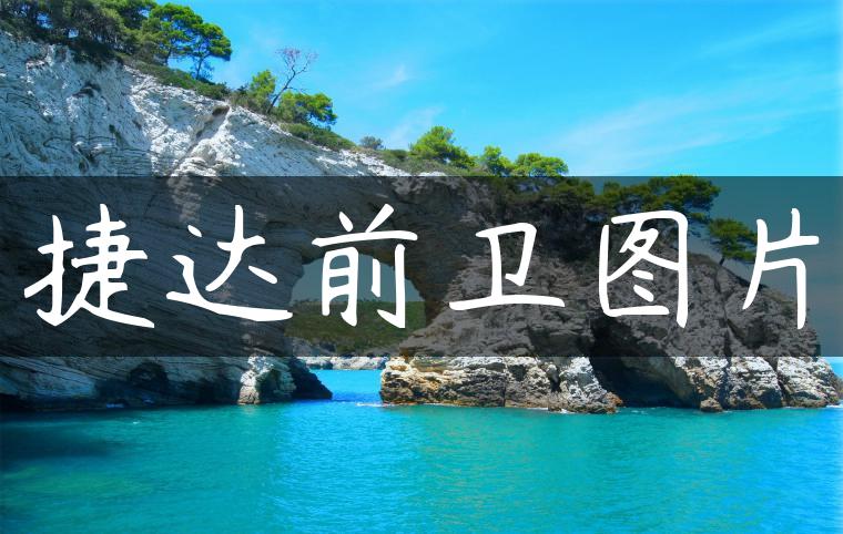 捷达前卫图片
