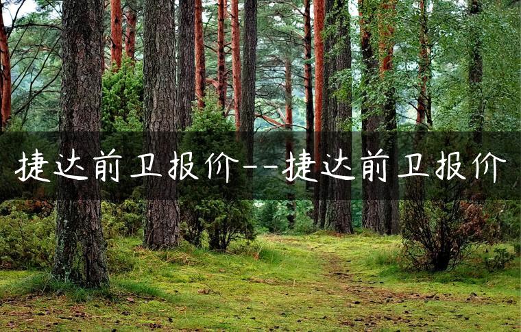 捷达前卫报价–捷达前卫报价