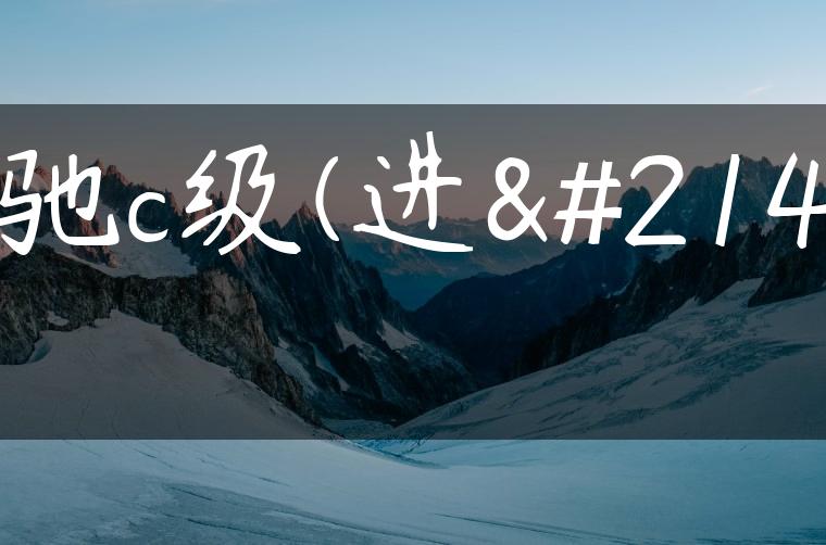 奔驰c级(进口)-金牌车友