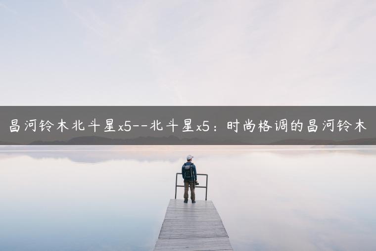 昌河铃木北斗星x5–北斗星x5：时尚格调的昌河铃木