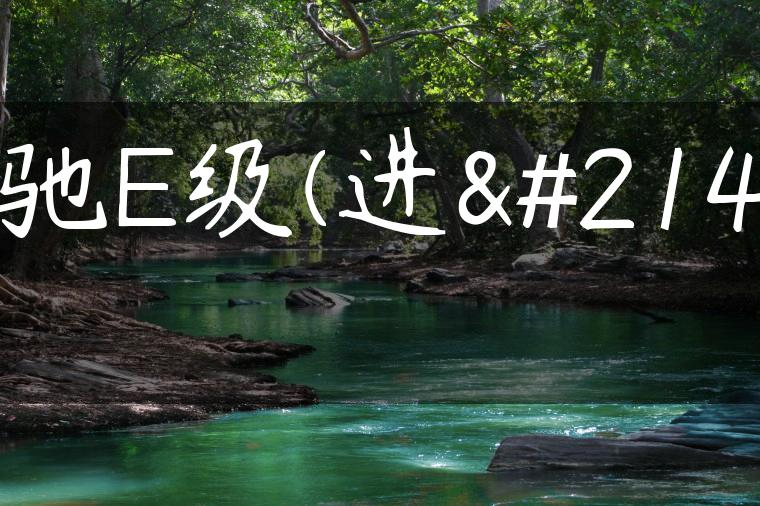 奔驰E级(进口)