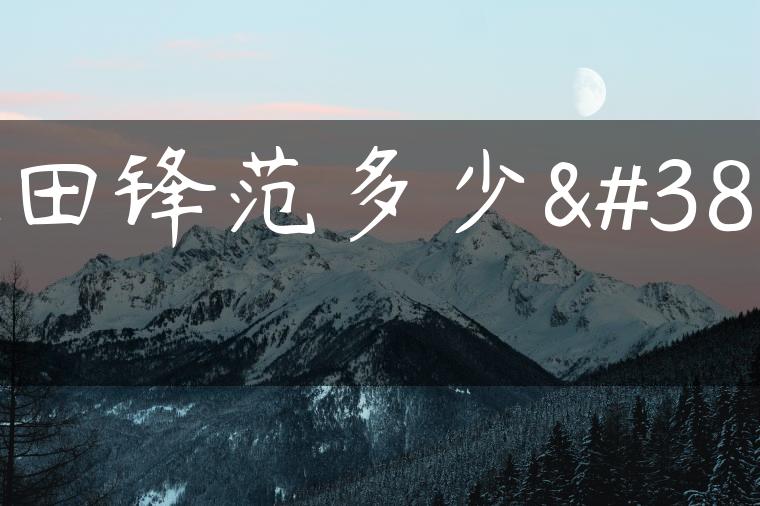 本田锋范多少钱