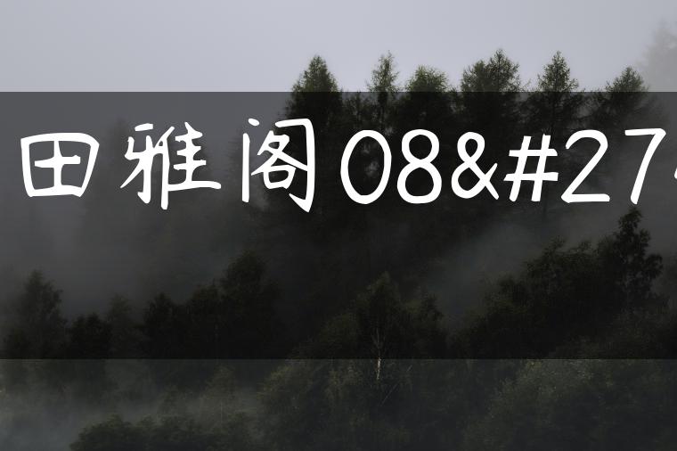 本田雅阁08款