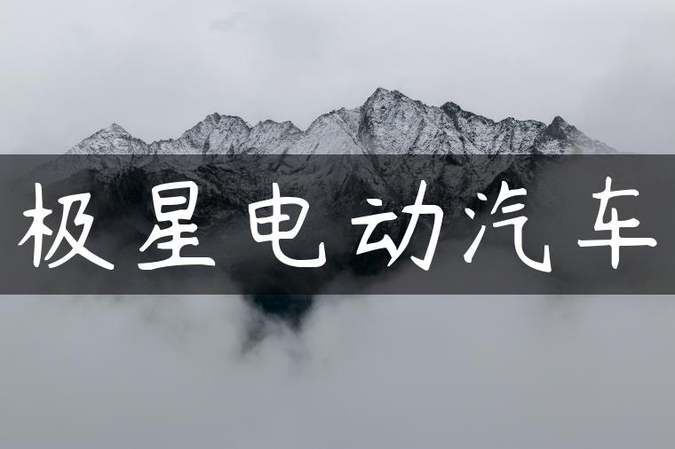 极星电动汽车