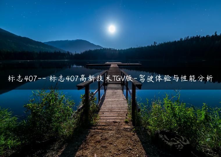 标志407– 标志407高新技术TGV版-驾驶体验与性能分析
