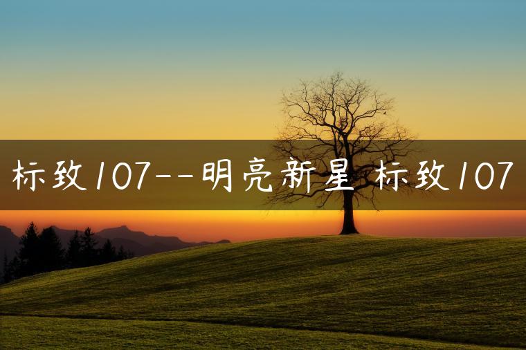 标致107–明亮新星 标致107-金牌车友