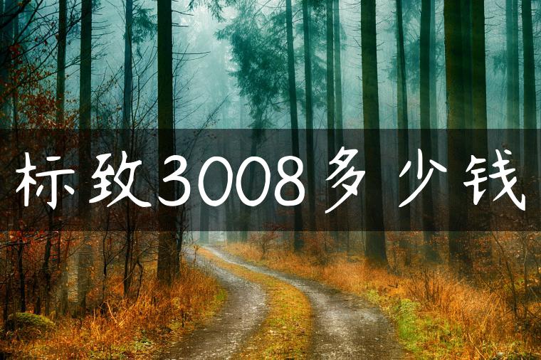 标致3008多少钱
