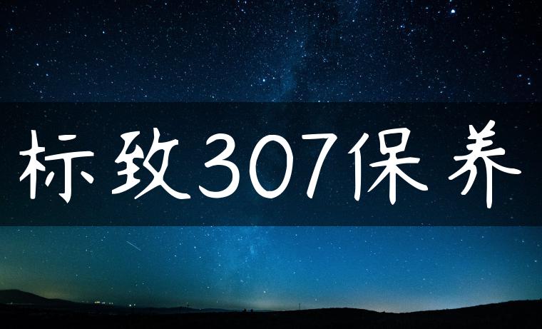 标致307保养