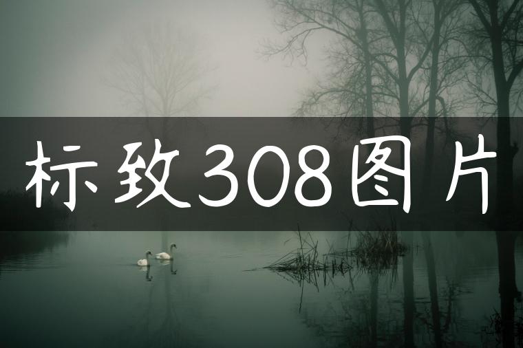 标致308图片-金牌车友