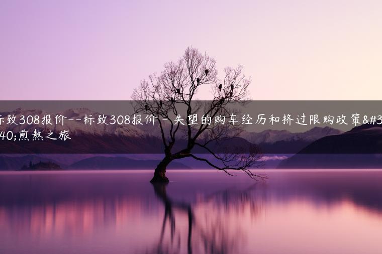 标致308报价–标致308报价 – 失望的购车经历和挤过限购政策的煎熬之旅