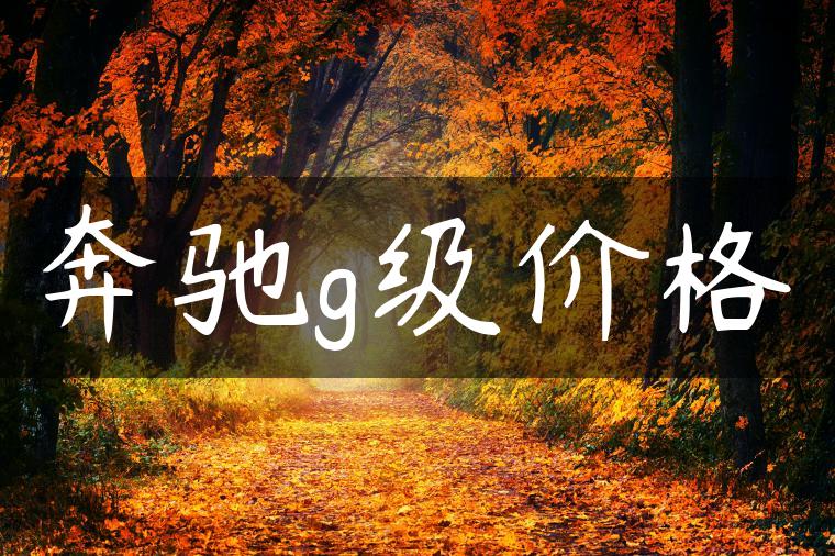 奔驰g级价格