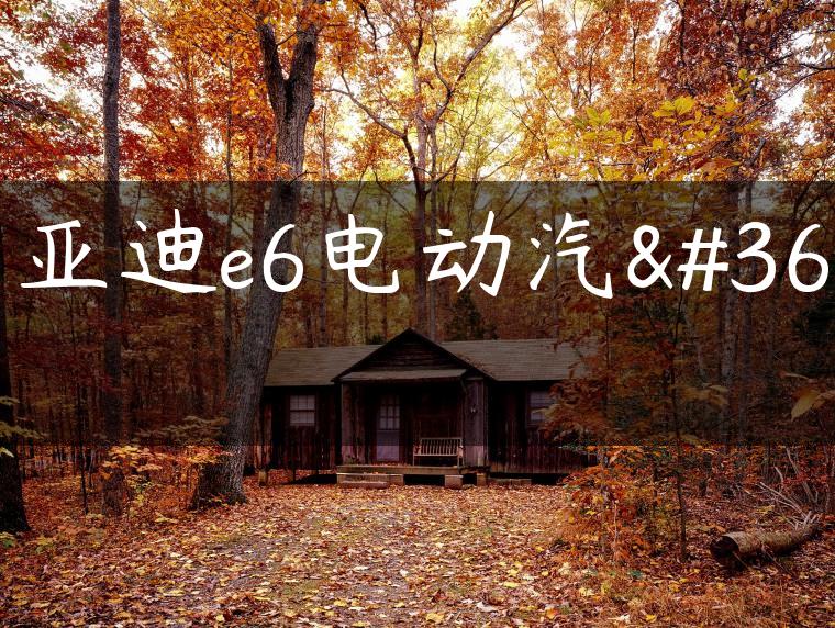 比亚迪e6电动汽车