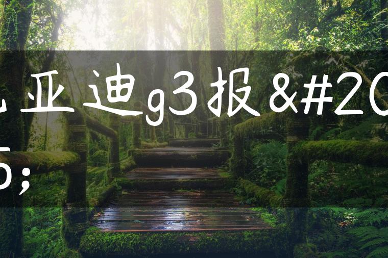 比亚迪g3报价