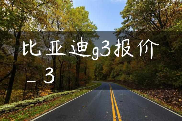 比亚迪g3报价_3