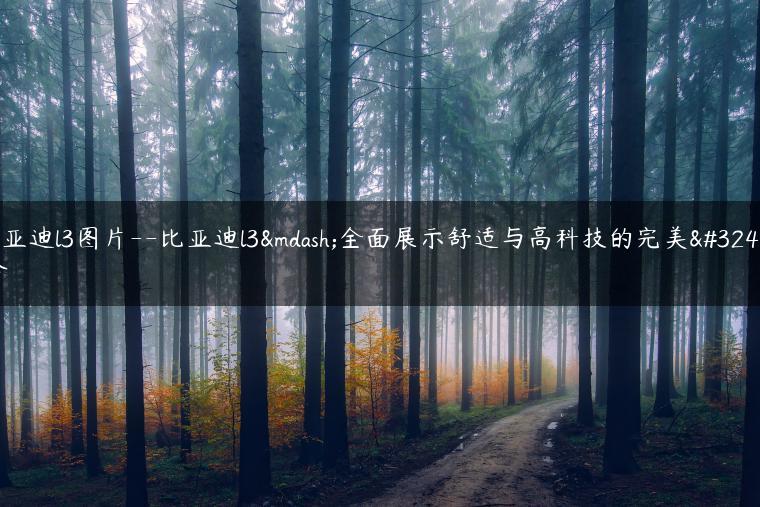 比亚迪l3图片–比亚迪l3—全面展示舒适与高科技的完美结合